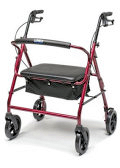 Walker Style 1